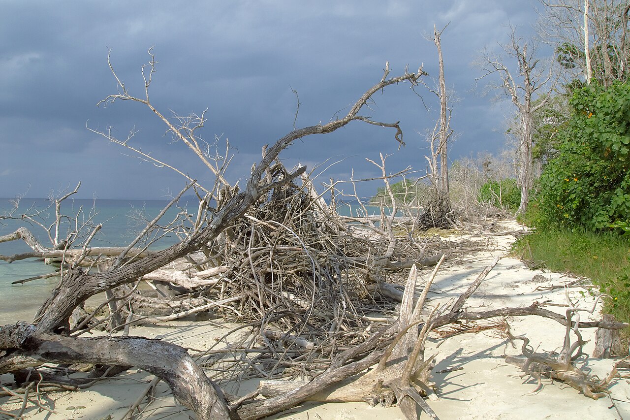 Elephant Beach, Andaman Islands
